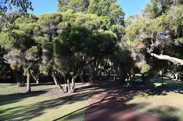 Whiteman, Avustralya 1 Haziran 2025: The Whiteman Park, Batı Avustralya 'nın Perth' ü
