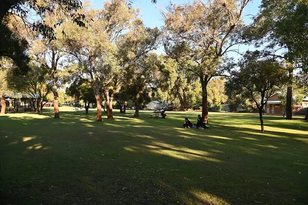 Whiteman, Avustralya 1 Haziran 2025: The Whiteman Park, Batı Avustralya 'nın Perth' ü