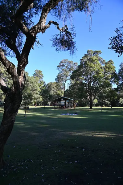 Whiteman, Avustralya 1 Haziran 2025: The Whiteman Park, Batı Avustralya 'nın Perth' ü