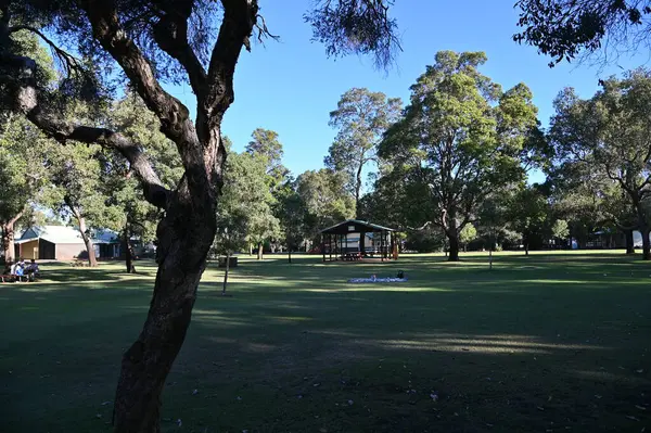 Whiteman, Avustralya 1 Haziran 2025: The Whiteman Park, Batı Avustralya 'nın Perth' ü
