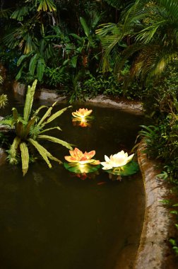 Kuching, Malezya - 8 Ağustos 2025: Yemek Festivali Sokak Fuarı