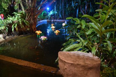 Kuching, Malezya - 8 Ağustos 2025: Yemek Festivali Sokak Fuarı