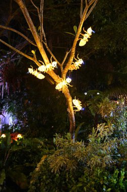 Kuching, Malezya - 8 Ağustos 2025: Yemek Festivali Sokak Fuarı