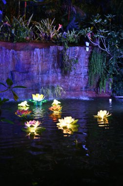 Kuching, Malezya - 8 Ağustos 2025: Yemek Festivali Sokak Fuarı