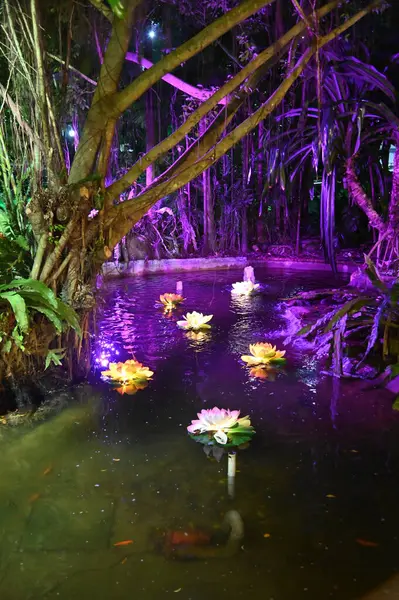 Kuching, Malezya - 8 Ağustos 2025: Yemek Festivali Sokak Fuarı