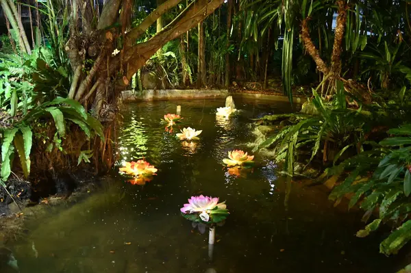 Kuching, Malezya - 8 Ağustos 2025: Yemek Festivali Sokak Fuarı