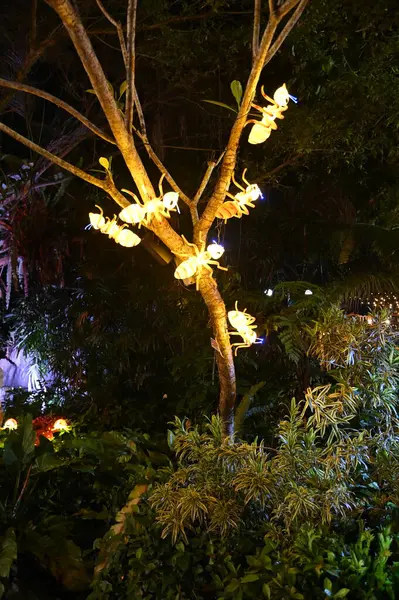 Kuching, Malezya - 8 Ağustos 2025: Yemek Festivali Sokak Fuarı