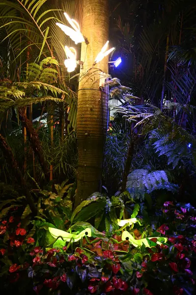 Kuching, Malezya - 8 Ağustos 2025: Yemek Festivali Sokak Fuarı