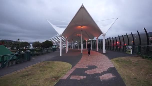 Проникливий День Навколо Басейну Міста Вангарей Нова Зеландія — стокове відео