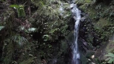 Whangarei, Yeni Zelanda 'daki Parihaka Sahne Koruma Alanı.