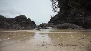 Waipu sahilinde dalgalar, Whangarei, Yeni Zelanda.