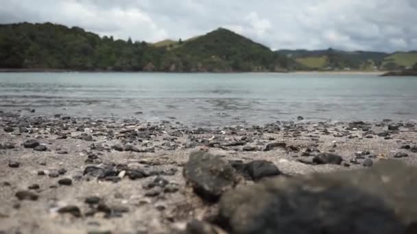 Gyönyörű Bálna Öböl Northland Zéland — Stock videók
