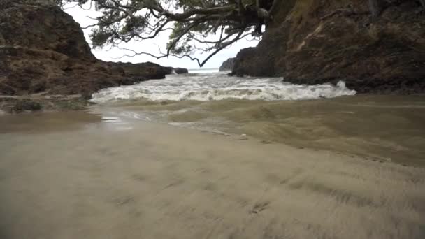 Хвилі Пляжі Вайпу — стокове відео
