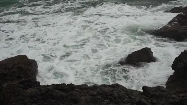 Grote Golven Het Langs Strand Northland Nieuw Zeeland — Stockvideo