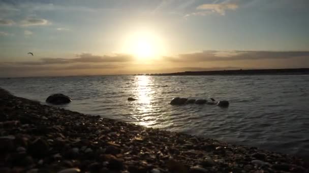 Afternoon Sunset Tapu Camp Thames New Zealand — Stock Video