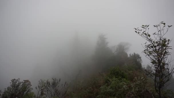 Μύστη Και Ομίχλη Στο Βουνό — Αρχείο Βίντεο