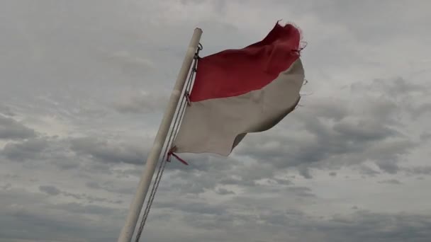 Indonesian Flag Flying — Stock Video