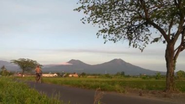 Bir çiftçi bisiklet sürerek pirinç tarlalarına gidiyordu.