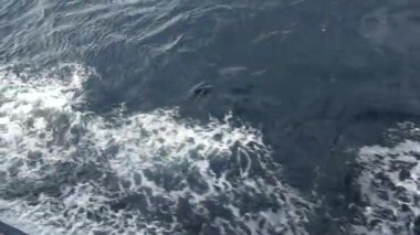 Bali Boğazı 'nda kumsal dalgaları
