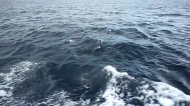 Bali Boğazı 'nda kumsal dalgaları