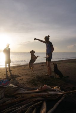 Mutlu bir aile gün batımında sahilde köpekle oynuyor.