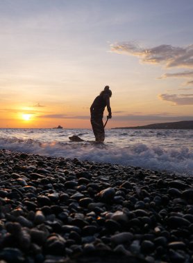 Gün doğumunda evcil köpeklerle sahilde oynayan bir kadın..