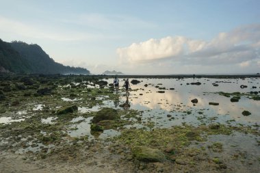 Banyuwangi, Endonezya - 5 Kasım 2020: Turistler Pulau Merah plajında gün batımının tadını çıkarıp oynuyorlar.