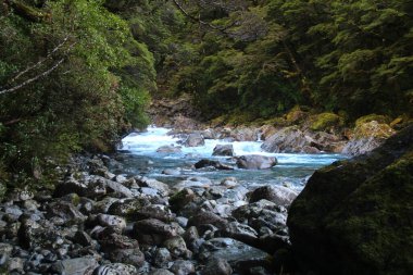 Milford Sound, Yeni Zelanda yolunda güzel bir nehir..