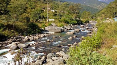 Karlı dağların, gölgeli ağaçların, vadilerin ve Annapurna ana kamp güzergahındaki plantasyonların manzarası..