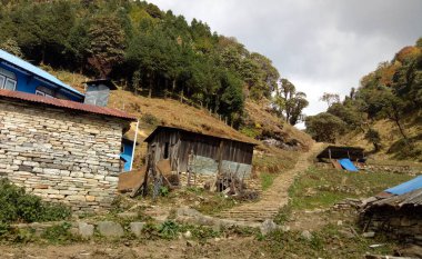 Karlı dağların, gölgeli ağaçların, vadilerin ve Annapurna ana kamp güzergahındaki plantasyonların manzarası..