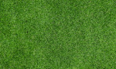 Yapay zemin için yeşil çimen arka planı. Yeşil çimen doğal arkaplan dokusu.