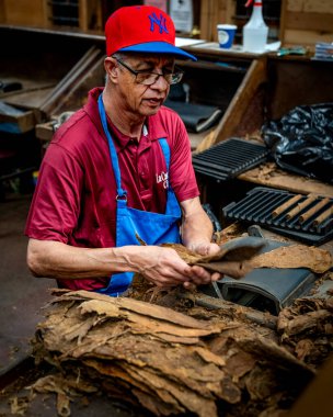 Bronx, New York - ABD - 21 Mayıs 2023 'te Bronx' taki ünlü Arthur Avenue Perakende Pazarı 'nda yeni sarılmış puroların dikey görüntüsü.