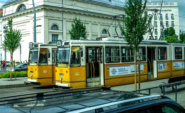 Budapešť Června 2023 Pohled Krajinu Dvou Tramvají Jedoucích Bok Boku — Stock fotografie