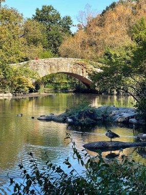 New York, New York, New York 11 Ekim 2023 Turistler, New York City Central Park 'ın güneydoğu köşesinde yer alan ve Gölet' in boynu boyunca uzanan taştan bir köprü olan Gapstow Köprüsünün keyfini çıkarıyorlar.