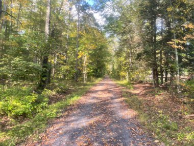 New Paltz, New York - ABD - 10 Ekim 2023 Wallkill Vadisi Demiryolu Yolu manzarası, eski Wallkill Vadisi demiryolu koridoru boyunca uzanan bir tren yolu ve doğrusal park Ulster County, New York.