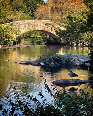 New York, New York, New York 11 Ekim 2023 Gapstow Köprüsü, New York City Central Park 'ın güneydoğu köşesindeki Pond' un boynu boyunca uzanan taştan bir köprü.
