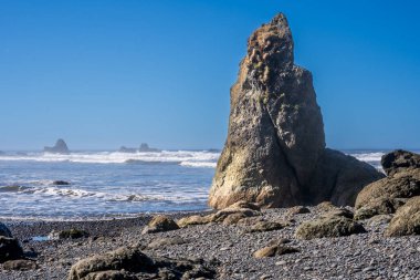 Ruby Beach, WA - ABD - 21 Eylül 2021: Olimpiyat Ulusal Parkı 'ndaki Ruby Sahili' nin yatay yakın çekim görüntüsü.