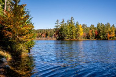 Londonderry, VT - ABD - 8 Ekim 2022 Vermonts Lowell Lake State Park 'taki 102 dönümlük Lowell Gölü manzaralı sonbahar manzarası. Suya yansıyan kırmızı, sarı portakal ağaçları.