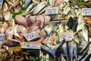 Atina, Attica - GR - 25 Ekim 2024 Turistler, Atina 'nın göbeğindeki parlak ikonlarına, dekoratif ayrıntılarına ve zamansız atmosferine bakarak, Saint Kyriakis Kutsal Kilisesi' ne hayran kaldılar..