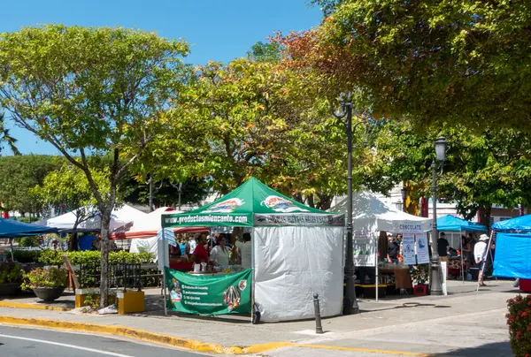 San Juan, PR - ABD - Luis Muoz Marn Uluslararası Havalimanı 'ndaki 13 Mar 2025 Terminal A modern oturma, geometrik tavan, gezginler, dükkanlar ve ışık dolu yürüyüş yolları ile hareketli bir merkezdir.