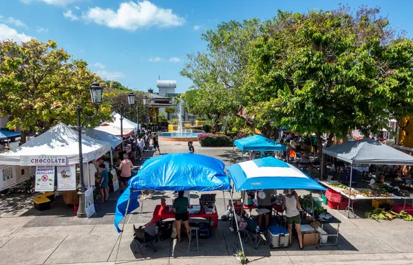 San Juan, PR - ABD - Luis Muoz Marn Uluslararası Havalimanı 'ndaki 13 Mar 2025 Terminal A modern oturma, geometrik tavan, gezginler, dükkanlar ve ışık dolu yürüyüş yolları ile hareketli bir merkezdir.