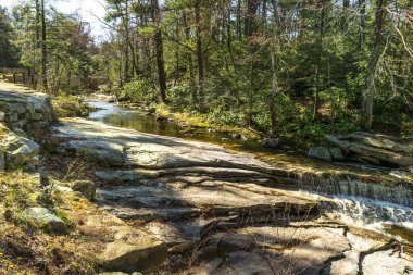 Kerhonkson, New York - ABD - 23 Nisan 2025 'te Peter' s Kill, Minnewaska Eyalet Parkı 'nın ormanlık bir bölgesindeki pürüzsüz kaya levhalarının üzerinden akarak berrak su, yosun taşları ve yumuşak düşüşlerle huzurlu bir manzara yarattı..