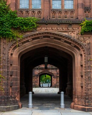 Princeton, NJ - ABD - 31 Mayıs 2025 Princeton Üniversitesi Doğu Pyne Salonu çarpıcı Gotik Uyanış mimarisine sahiptir. Detaylı taş kemer yolu, gür sarmaşık ve kasalı koridor akademik ihtişamı çağrıştırıyor..