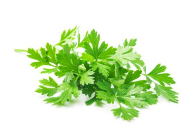 green parsley leaves isolated on white background clipart