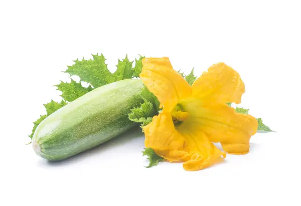 Frutti Zucchine Fresche Con Foglie Verdi Fiori Isolati Sfondo Bianco — Foto Stock