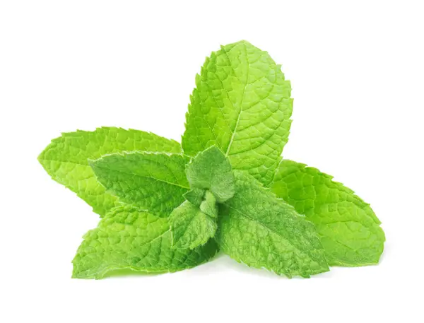 Fresh Green Mint Leaves Isolated White Background Stock Photo