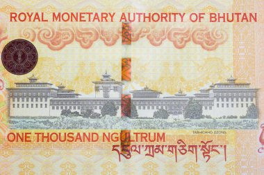 Bhutanese parasından Tashichho Dzong - ngultrum