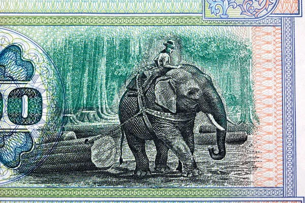 ミャンマーのお金から象のチークロガー Kyat — ストック写真