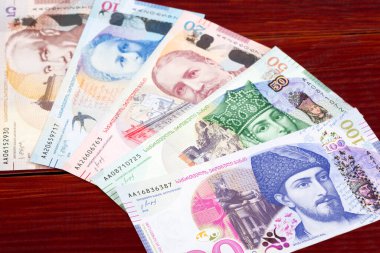 Gürcistan parası - bir iş geçmişi