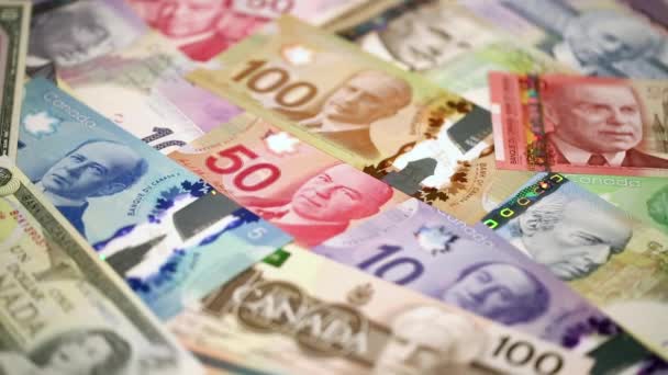 加拿大钞票 桌上轮转的美元 — 图库视频影像